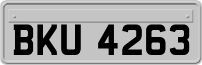 BKU4263