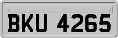 BKU4265