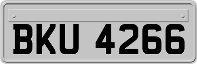 BKU4266