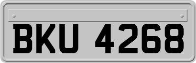 BKU4268