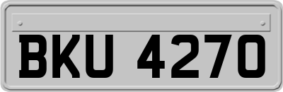 BKU4270