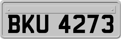 BKU4273