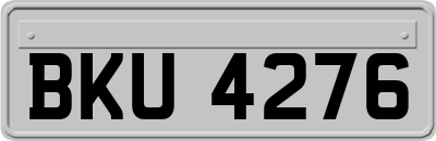 BKU4276