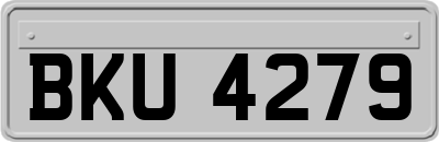BKU4279