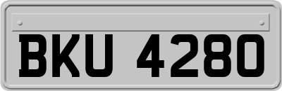 BKU4280
