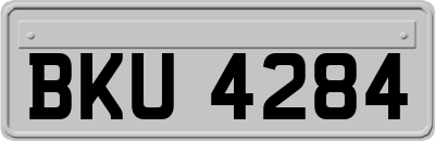 BKU4284