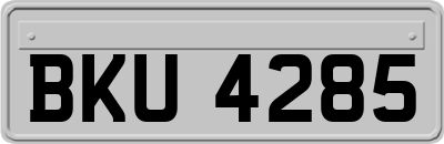 BKU4285
