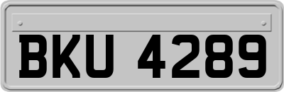 BKU4289