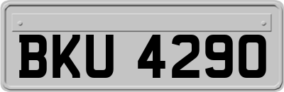 BKU4290