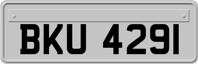 BKU4291