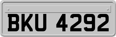 BKU4292