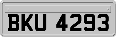 BKU4293