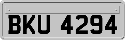 BKU4294