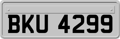 BKU4299