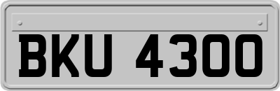BKU4300