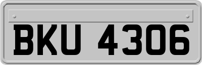 BKU4306