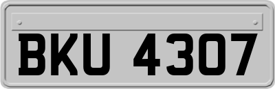 BKU4307
