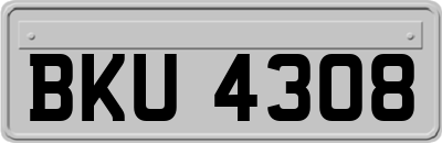BKU4308