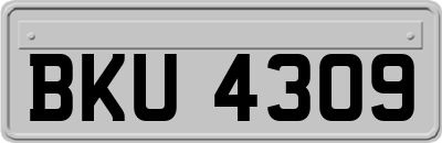 BKU4309