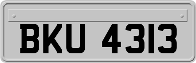 BKU4313