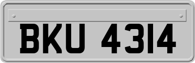 BKU4314