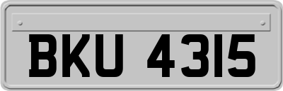 BKU4315