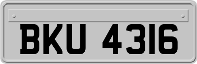 BKU4316
