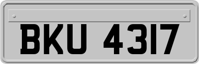 BKU4317