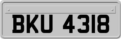 BKU4318