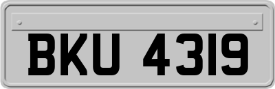 BKU4319