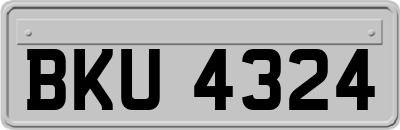 BKU4324