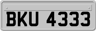 BKU4333