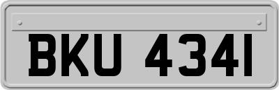 BKU4341