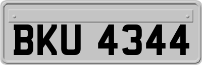 BKU4344