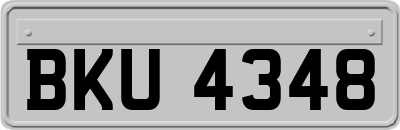 BKU4348