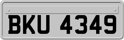 BKU4349