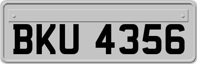 BKU4356