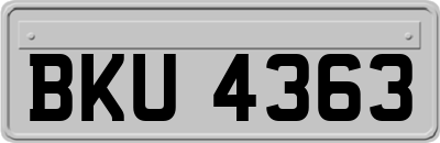 BKU4363