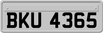BKU4365
