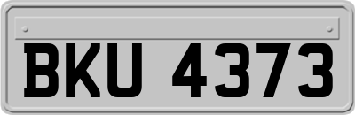 BKU4373