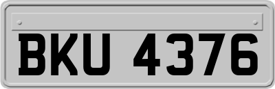 BKU4376