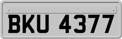 BKU4377