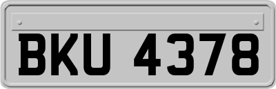 BKU4378