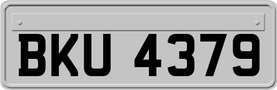 BKU4379