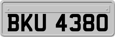 BKU4380