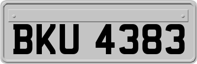 BKU4383