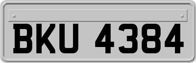 BKU4384