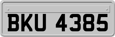 BKU4385