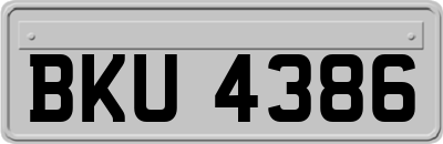 BKU4386