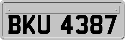 BKU4387